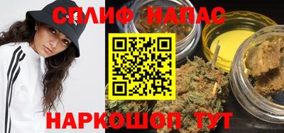 гидра Берёзовский