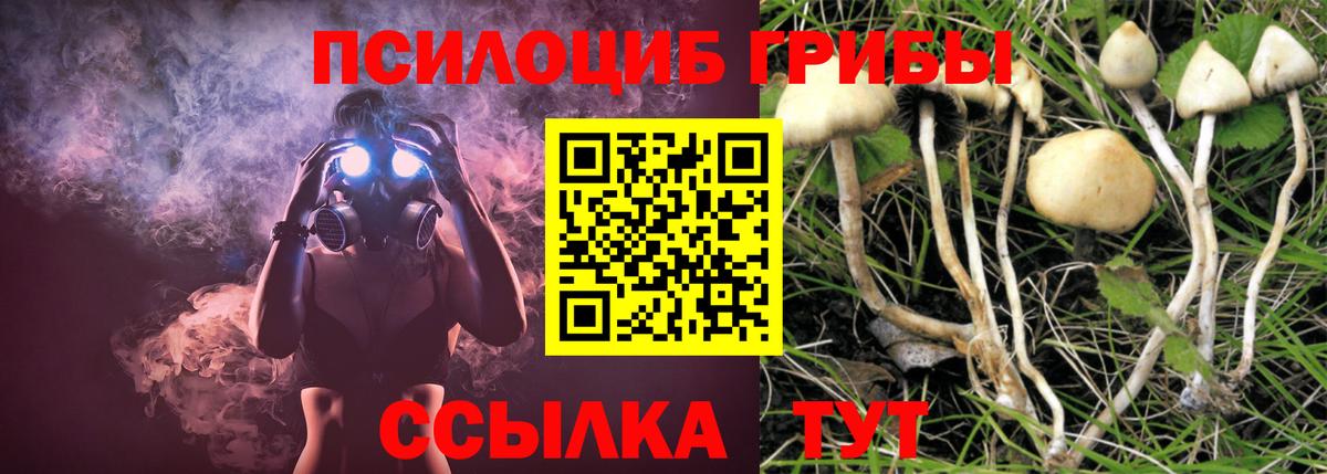 Ефремов  Псилоцибиновые грибы мицелий  даркнет сайт  Вход с VPN 