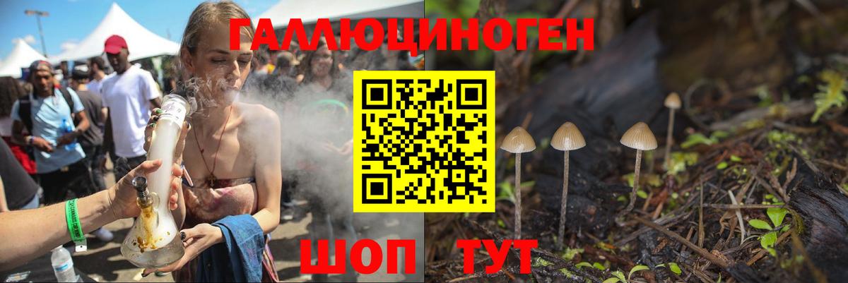 Псилоцибиновые грибы Cubensis Ефремов